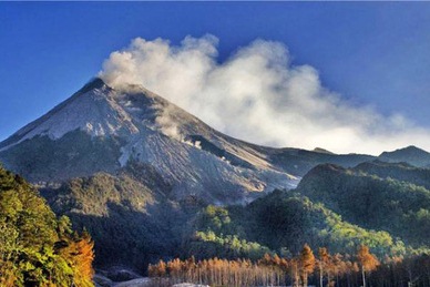 Больше 30 альпинистов погибли из-за извержения вулкана в Японии